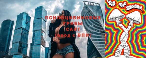 PSILOCYBIN Белокуриха