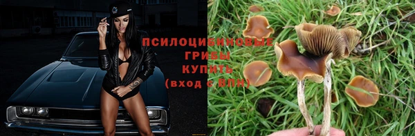PSILOCYBIN Белокуриха